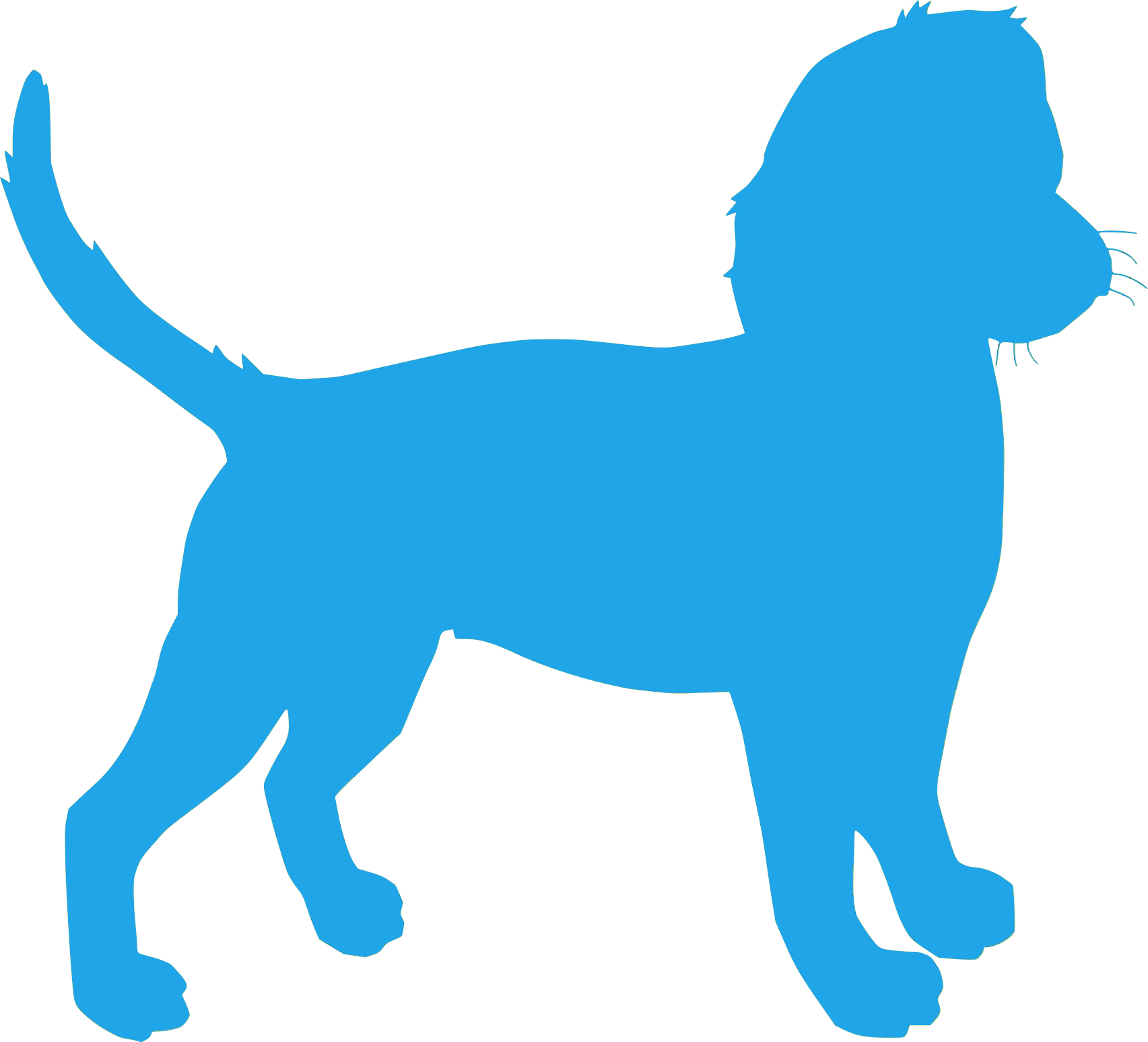 Test